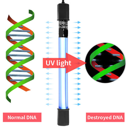 🐟 56% Rabatt! ✨ Der UV-Wasserklärer mit Timer – tötet unsichtbare Krankheitserreger, beugt Algen vor. Einfache Installation.