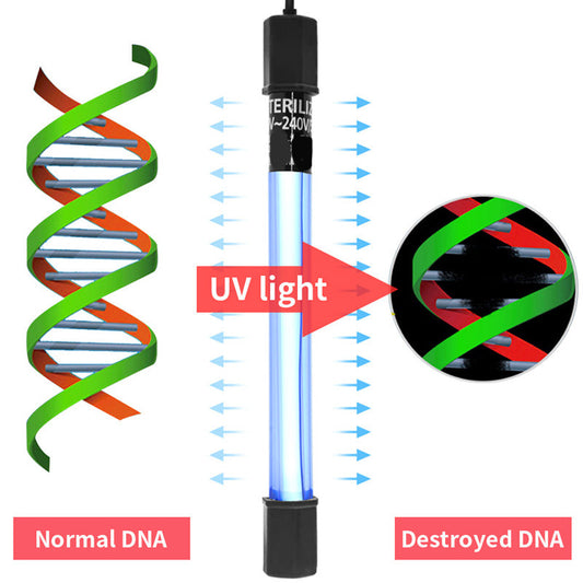 🐟 56% Rabatt! ✨ Der UV-Wasserklärer mit Timer – tötet unsichtbare Krankheitserreger, beugt Algen vor. Einfache Installation.