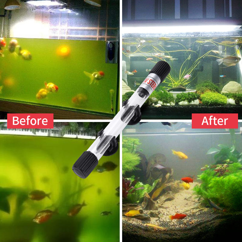 🐟 56% Rabatt! ✨ Der UV-Wasserklärer mit Timer – tötet unsichtbare Krankheitserreger, beugt Algen vor. Einfache Installation.