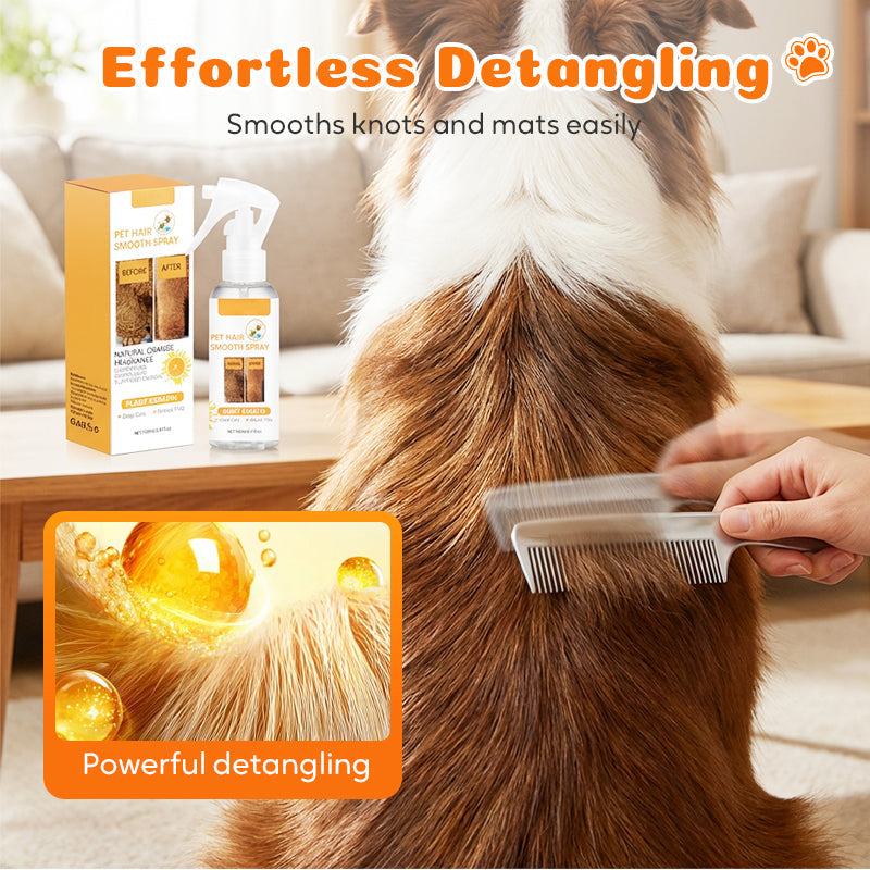 🔥 50% Rabatt am letzten Tag! 🔥 Deodorant- und entwirrender Sprühnebel für Haustiere｜Sprühen, bürsten, kuscheln – frisches, verfilzungsfreies Fell für deinen besten Freund 🐶🐱✨