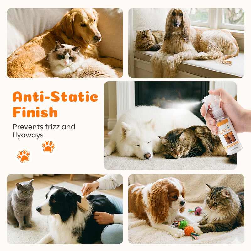 🔥 50% Rabatt am letzten Tag! 🔥 Deodorant- und entwirrender Sprühnebel für Haustiere｜Sprühen, bürsten, kuscheln – frisches, verfilzungsfreies Fell für deinen besten Freund 🐶🐱✨