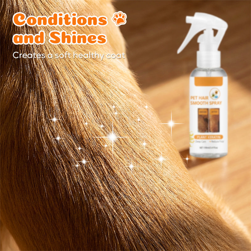 🔥 50% Rabatt am letzten Tag! 🔥 Deodorant- und entwirrender Sprühnebel für Haustiere｜Sprühen, bürsten, kuscheln – frisches, verfilzungsfreies Fell für deinen besten Freund 🐶🐱✨