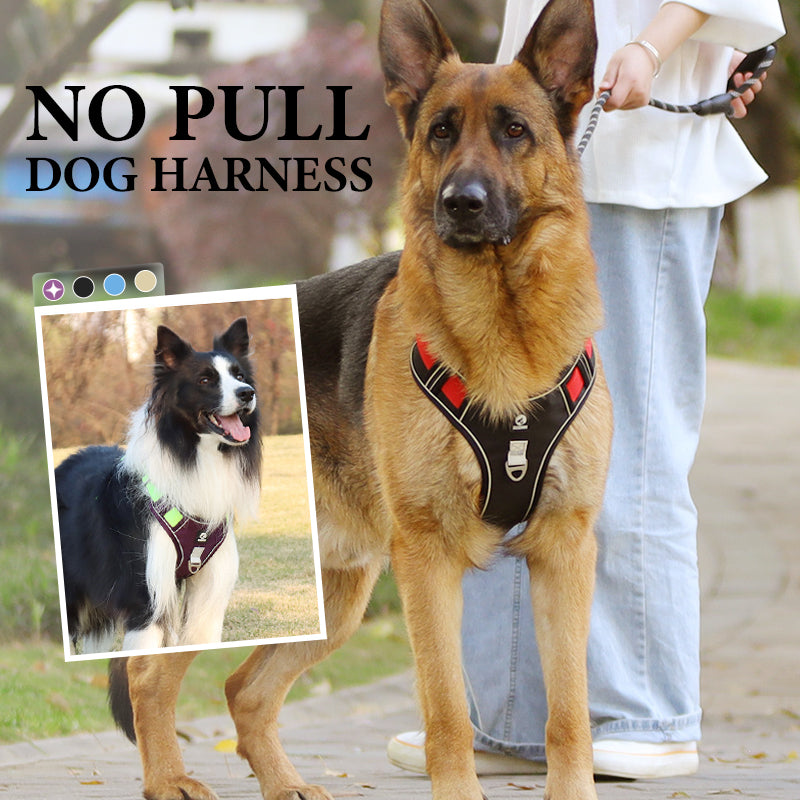 📢📢50 % RABATT !! ⏰Hundegeschirr ohne Zugkraft mit Leine und Halsband mit LED