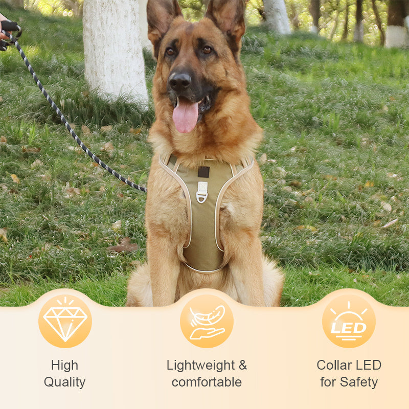 📢📢50 % RABATT !! ⏰Hundegeschirr ohne Zugkraft mit Leine und Halsband mit LED