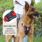 📢📢50 % RABATT !! ⏰Hundegeschirr ohne Zugkraft mit Leine und Halsband mit LED