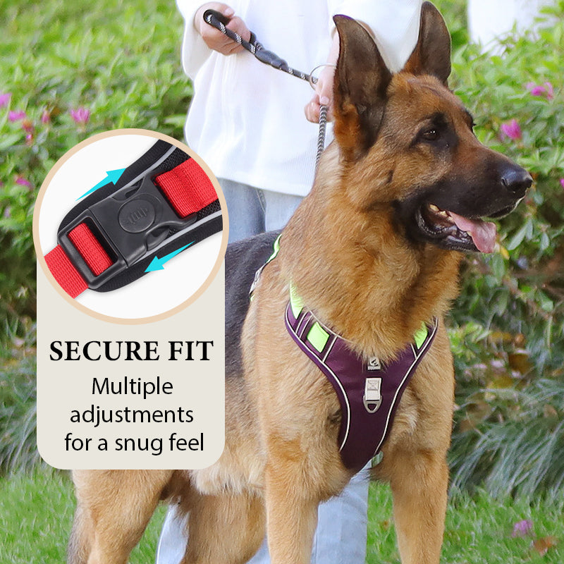 📢📢50 % RABATT !! ⏰Hundegeschirr ohne Zugkraft mit Leine und Halsband mit LED