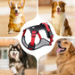 📢📢50 % RABATT !! ⏰Hundegeschirr ohne Zugkraft mit Leine und Halsband mit LED